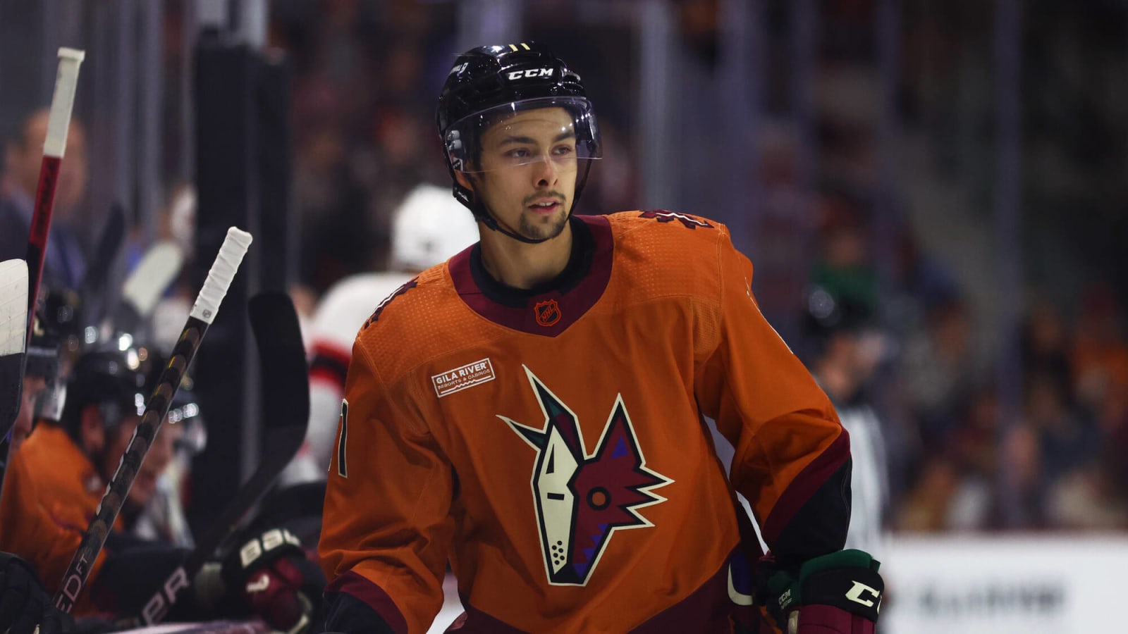 Dylan Guenther Recalled By Coyotes