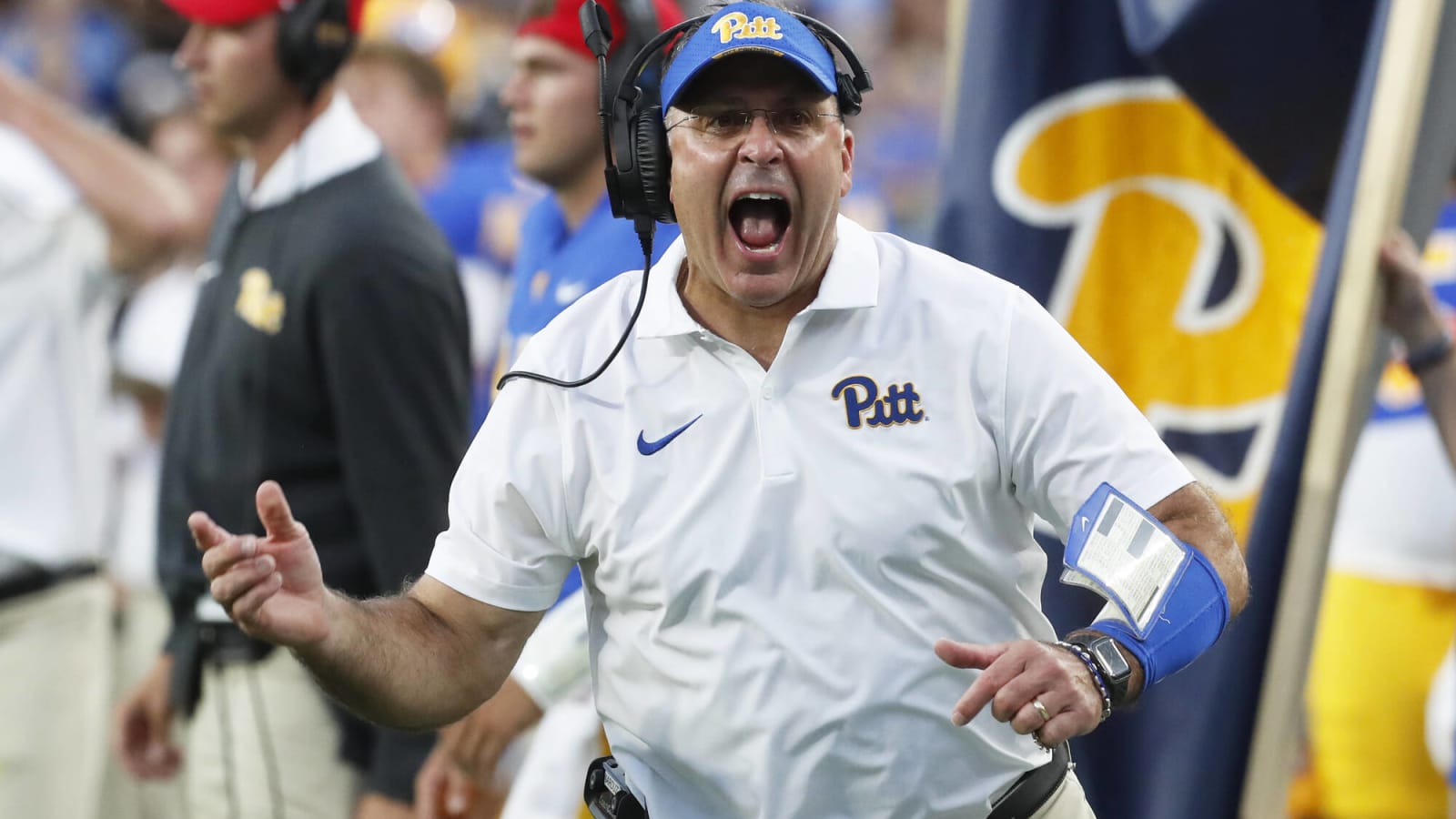  Narduzzi&#39;s apology was warranted ... but will it be accepted?