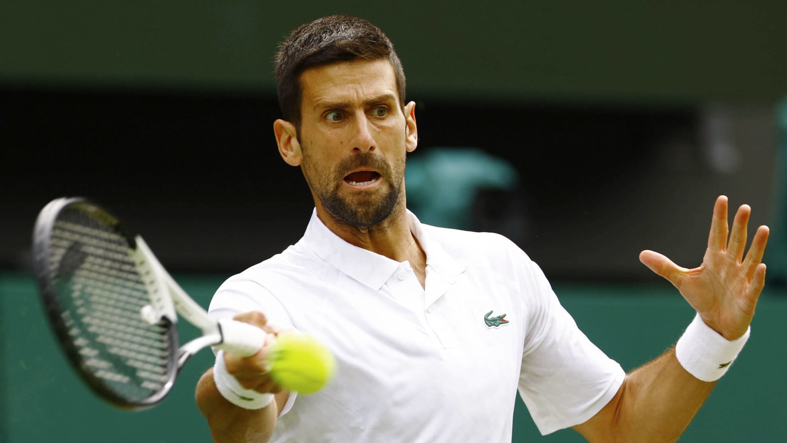 Djokovic Cuts Alcarazs Lead In World No