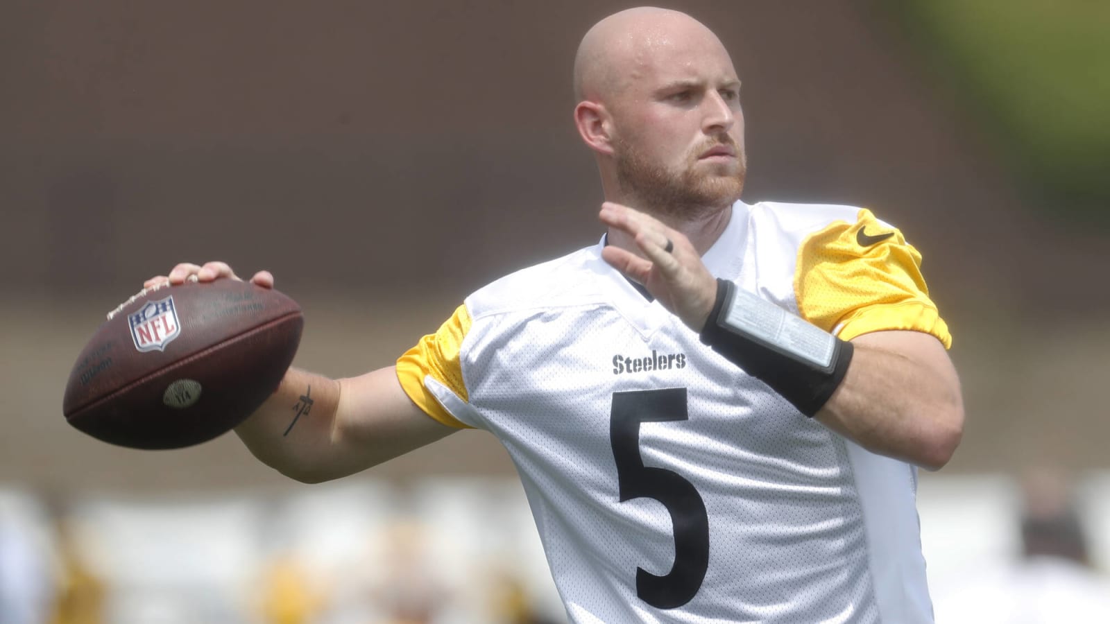 Former Steelers QB Signs with Vikings
