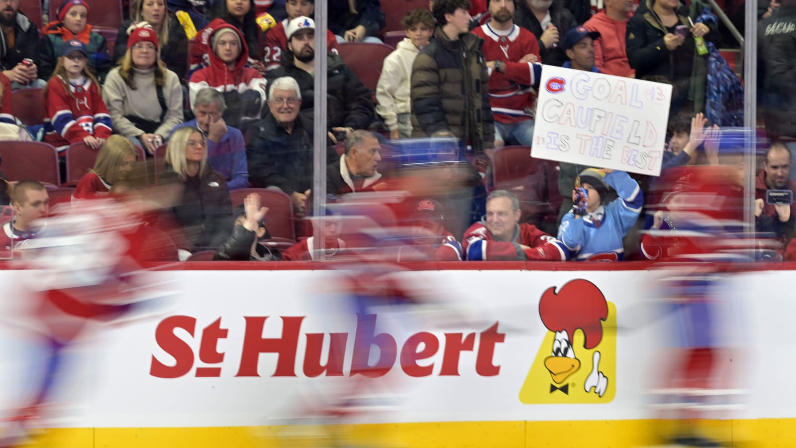Seven Shades of Habs Fandom