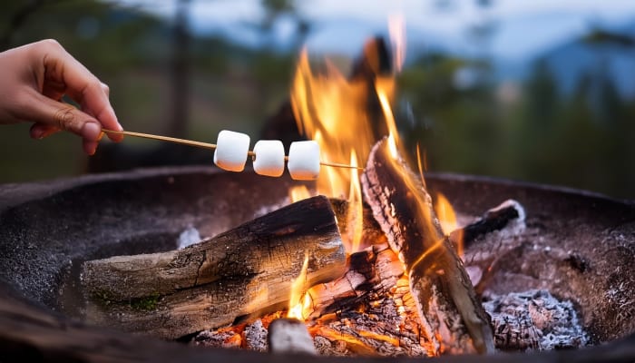 Roasting marshmallows