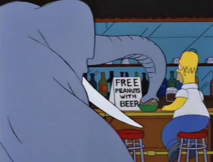 “Bart Gets an Elephant”