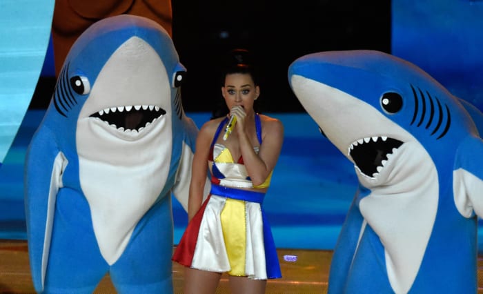 Super Bowl XLIX: Left shark