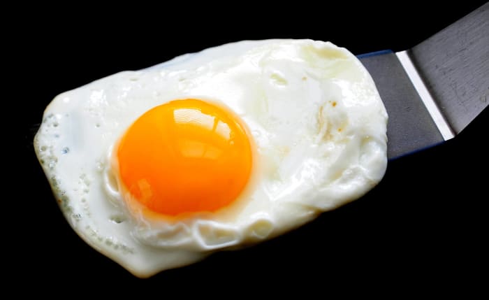 Fried Egg