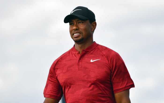 Tiger back in the hunt