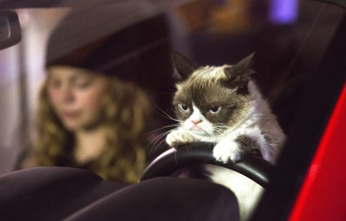 How Grumpy Cat Is Purrfect At Copywriting