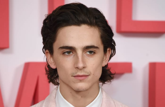 Timothee Chalamet