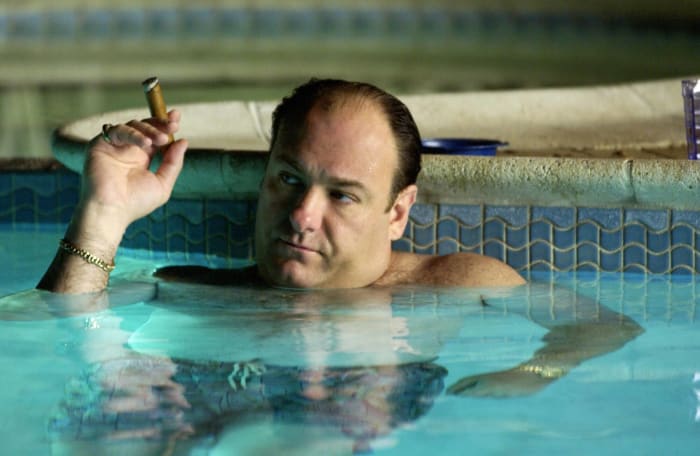 Tony Soprano from 'The Sopranos'
