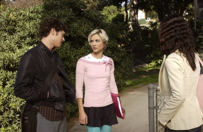 "The Heartbreak" (“The O.C.,” 1x19)