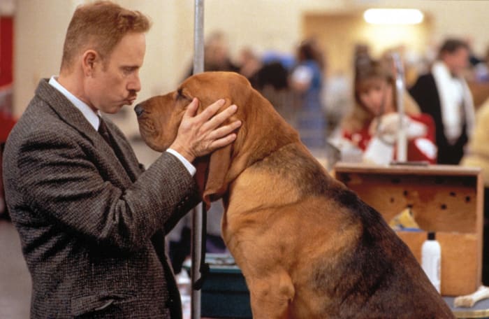 "Best in Show" (2000)