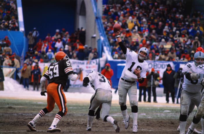 Jim Plunkett, 1980