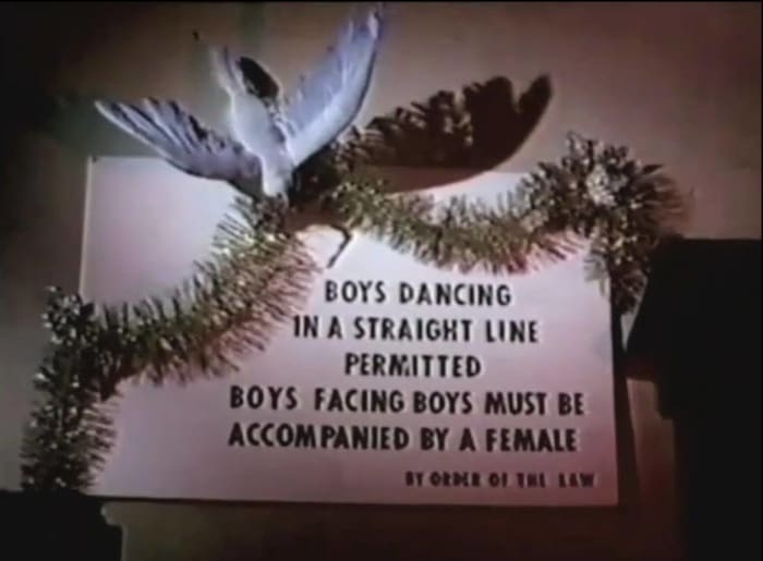 'Some of my Best Friends Are…'