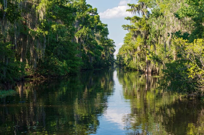 Mississippi River Delta, Louisiana