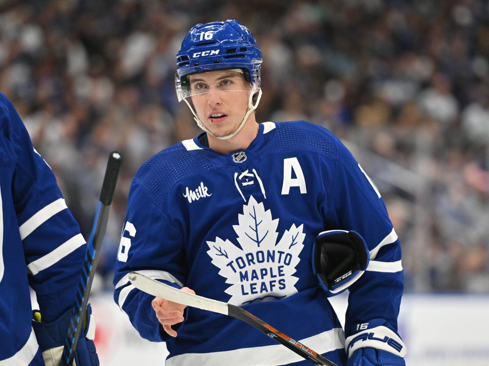Shop toronto maple leafs discount