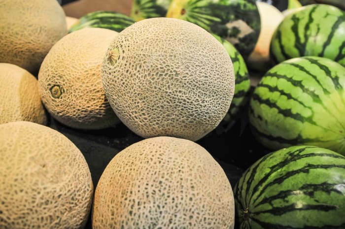 Cantaloupe