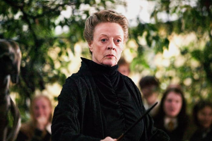 Best: Prof. Minerva McGonagall ('Harry Potter' franchise)