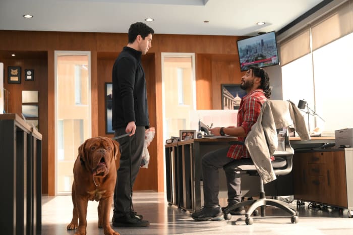 “Turner & Hooch”