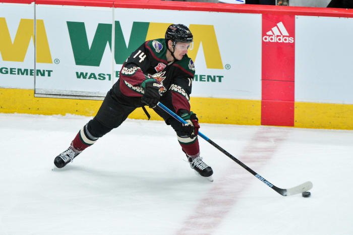 Washington Capitals: winner