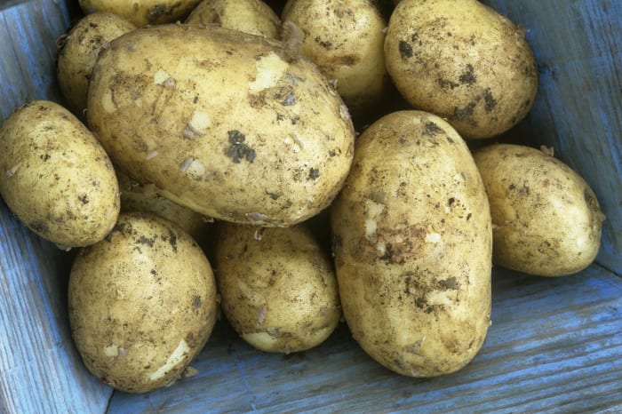 The 25 best side dishes involving potatoes | Yardbarker