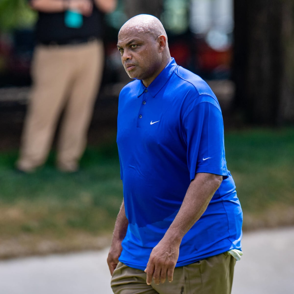Nike Charles Barkley Bruin top