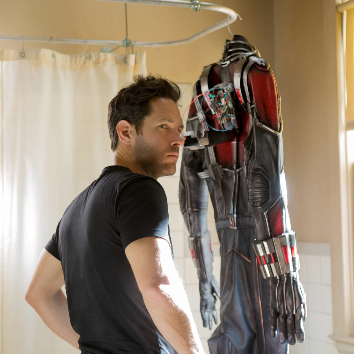 Ant-Man and The Wasp: Quantumania'—Honey, I shrunk the story - The Daily  News