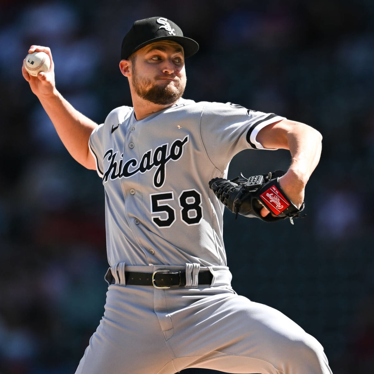 Chicago White Sox Announce Roster Moves - On Tap Sports Net