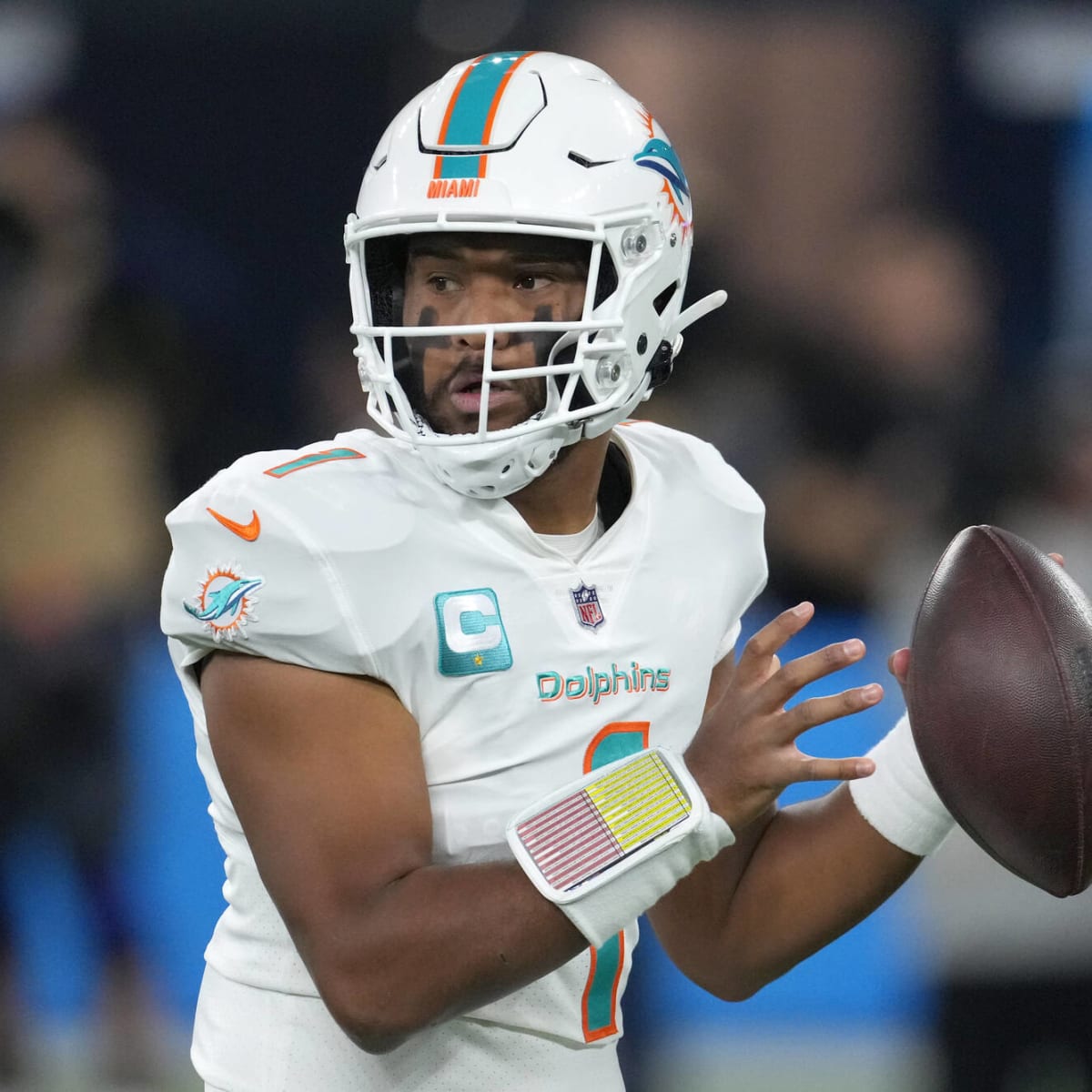 Miami Dolphins ceiling and floor for 2023