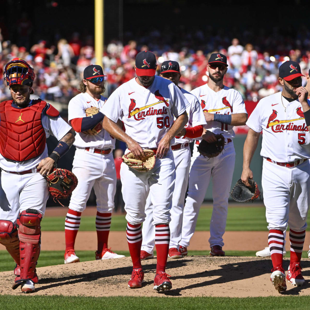 St Louis Cardinals Adam Wainwright Albert Pujols And Yadier Molina