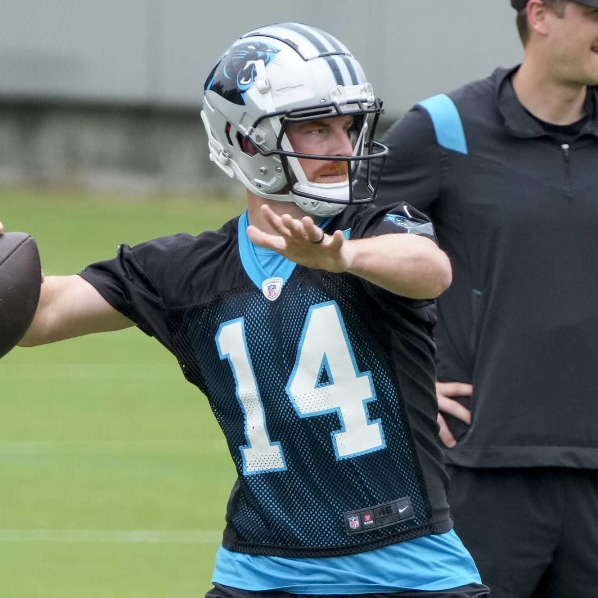 Panthers nfc cheap south shirt
