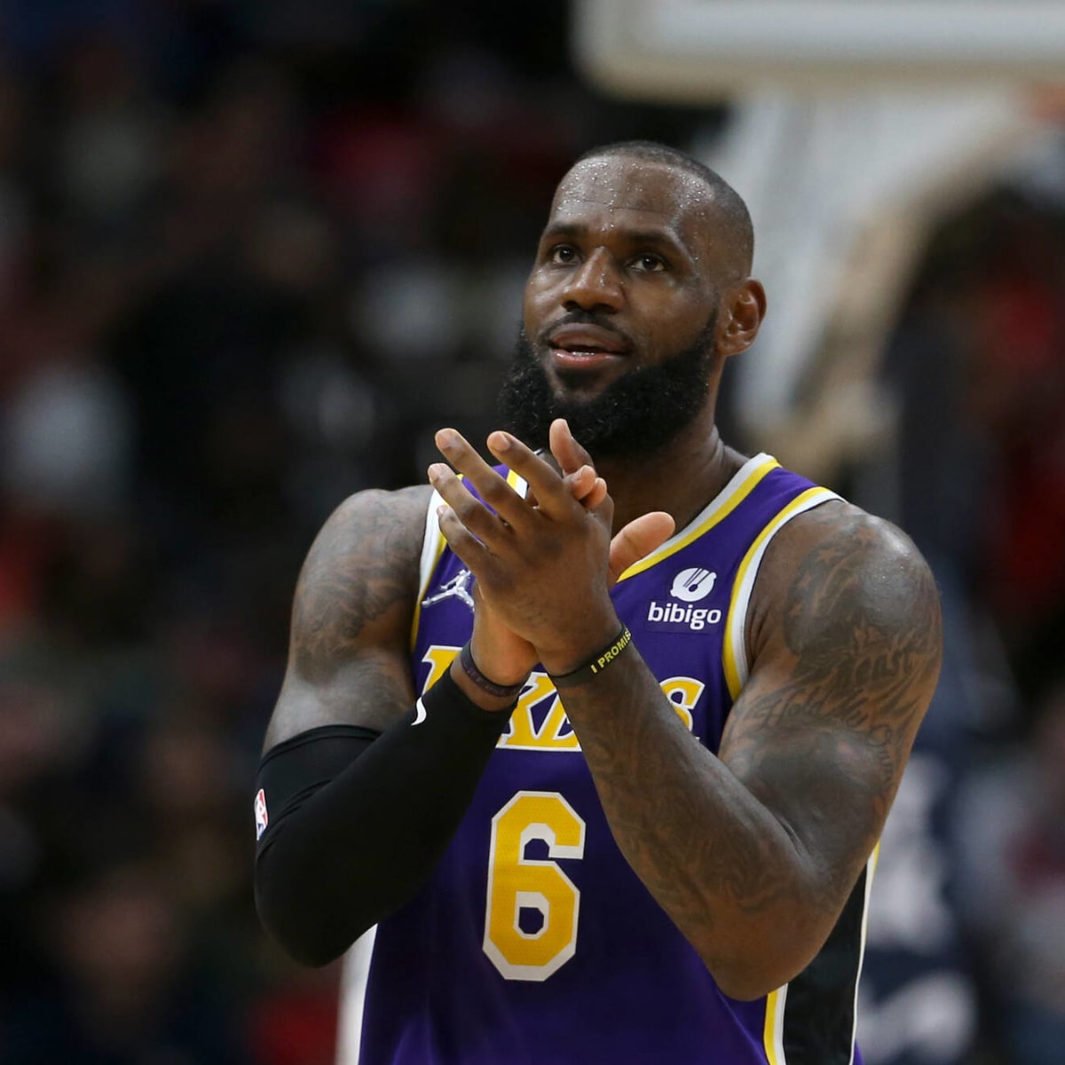 Lebron james the land clearance