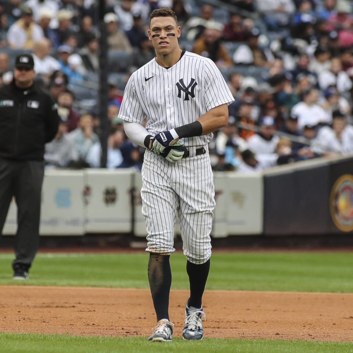 Aaron Judge - New York Yankees Right Fielder - ESPN