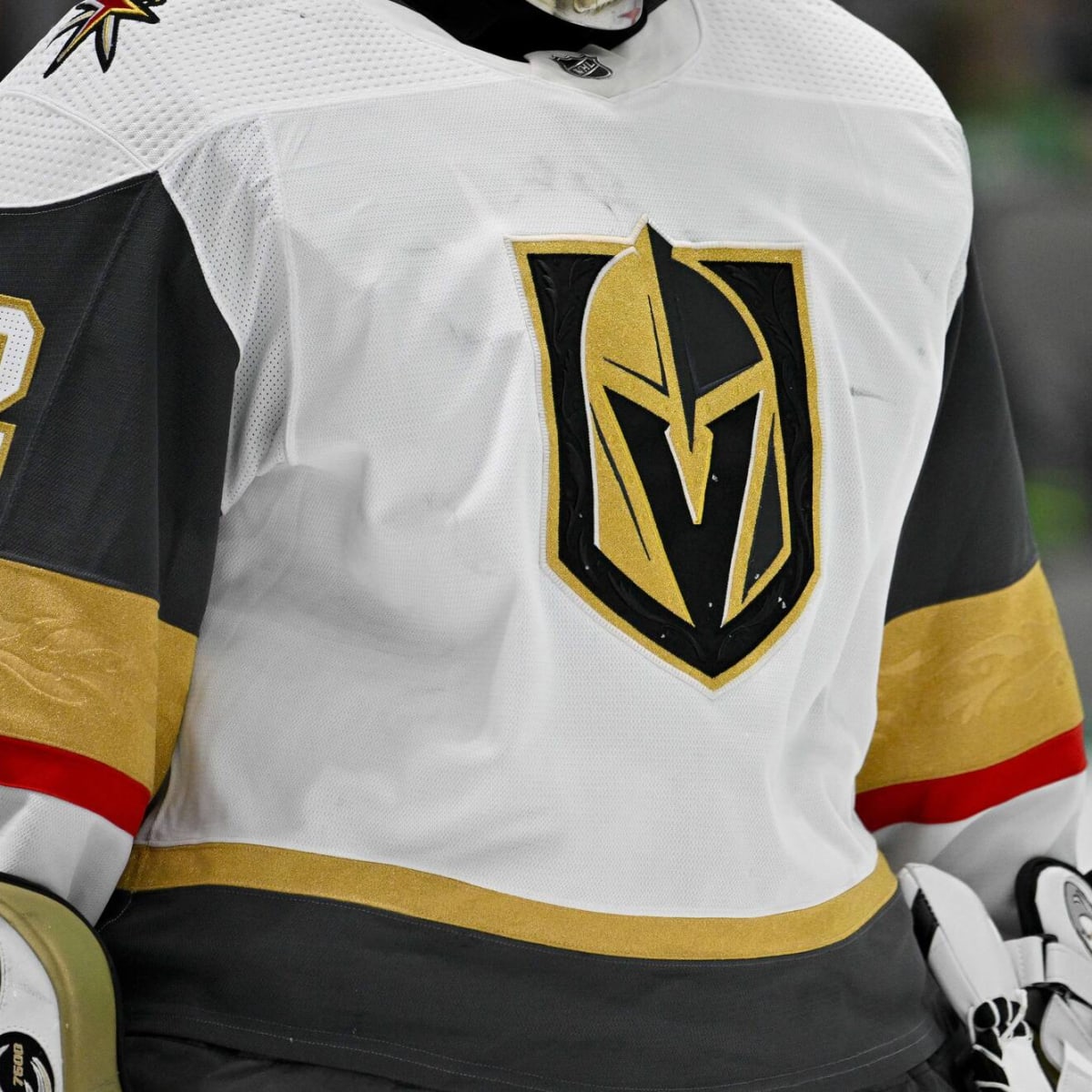 Vegas Golden Knights on X: Always do it right for Nevada Day