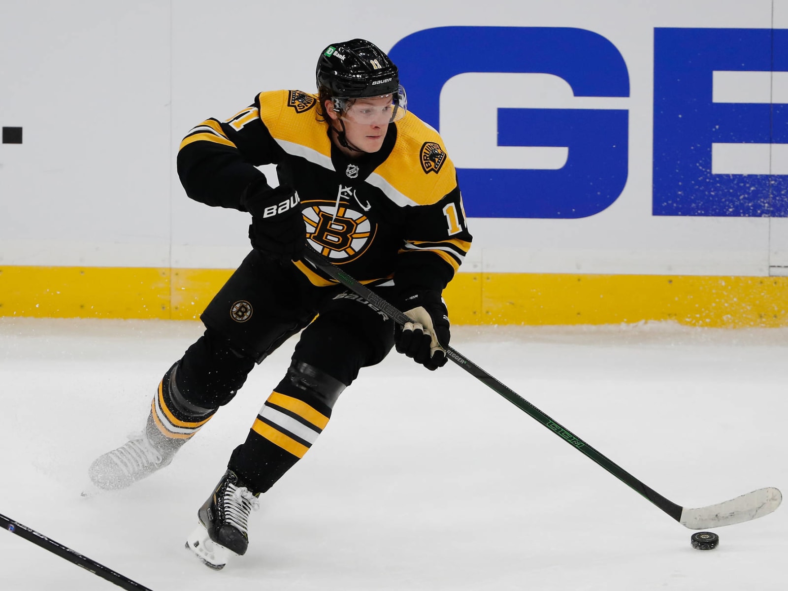 Bruins Assign Trent Frederic To Providence – Black N' Gold Hockey