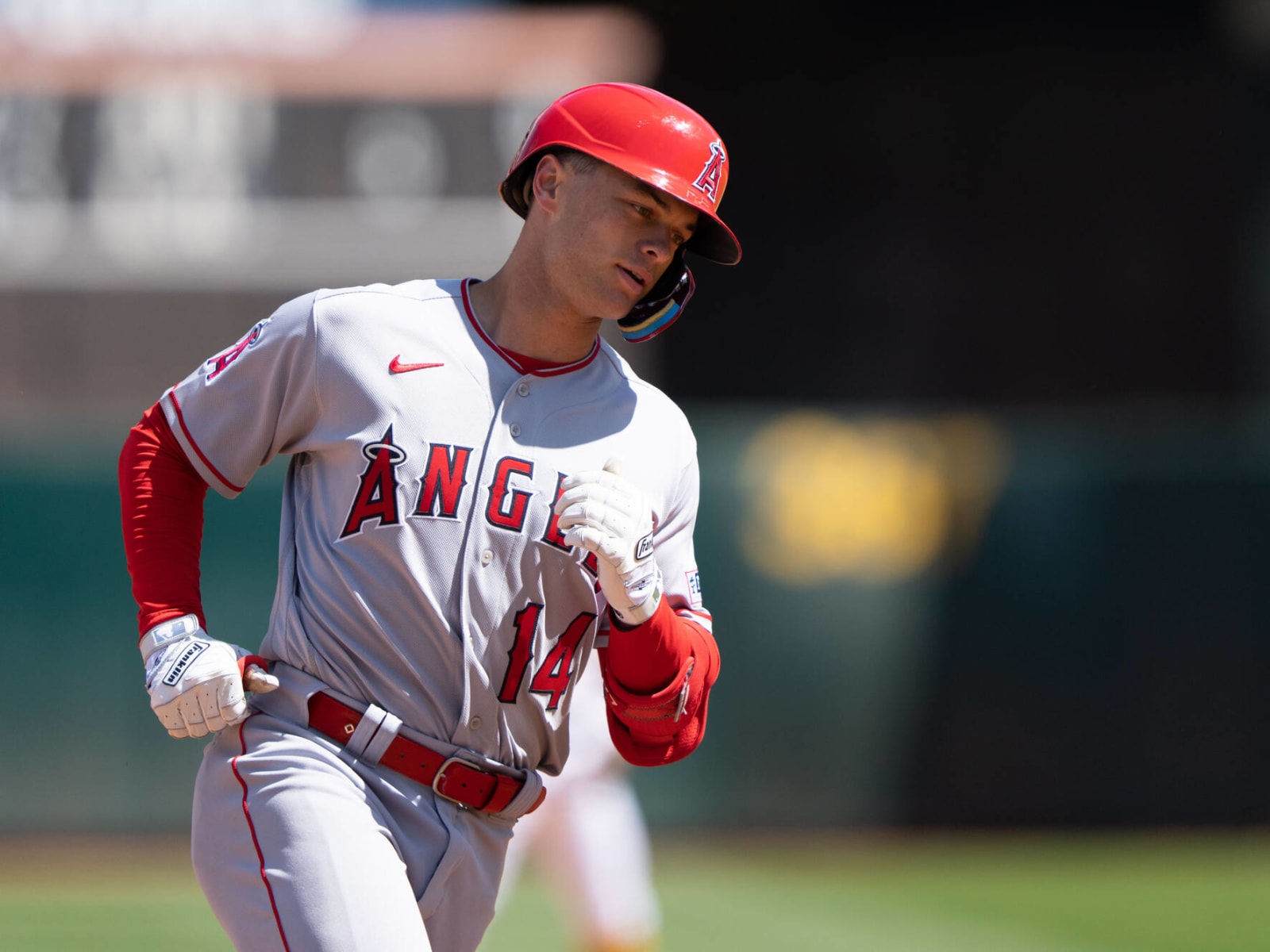 Angels' Logan O'Hoppe likely out 4-6 months with torn labrum: Who