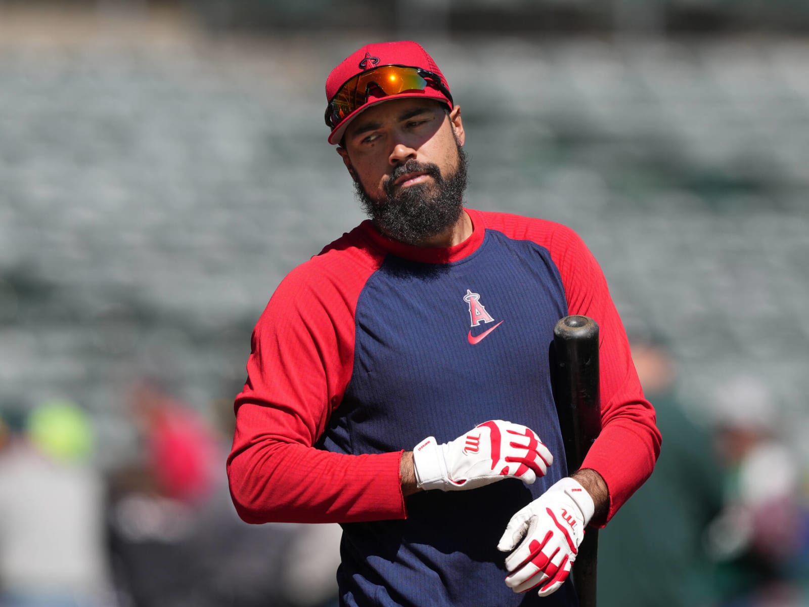 Anthony Rendon Fan Altercation: New Video Emerges; Angels Players