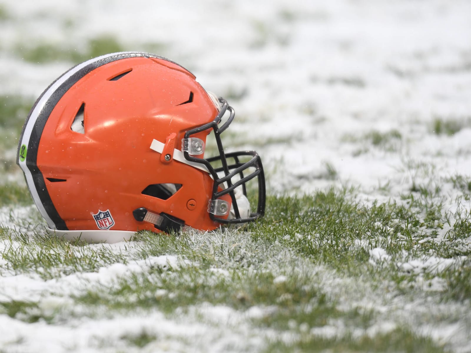 Browns reveal finalists for official 'Dawg Pound' logo