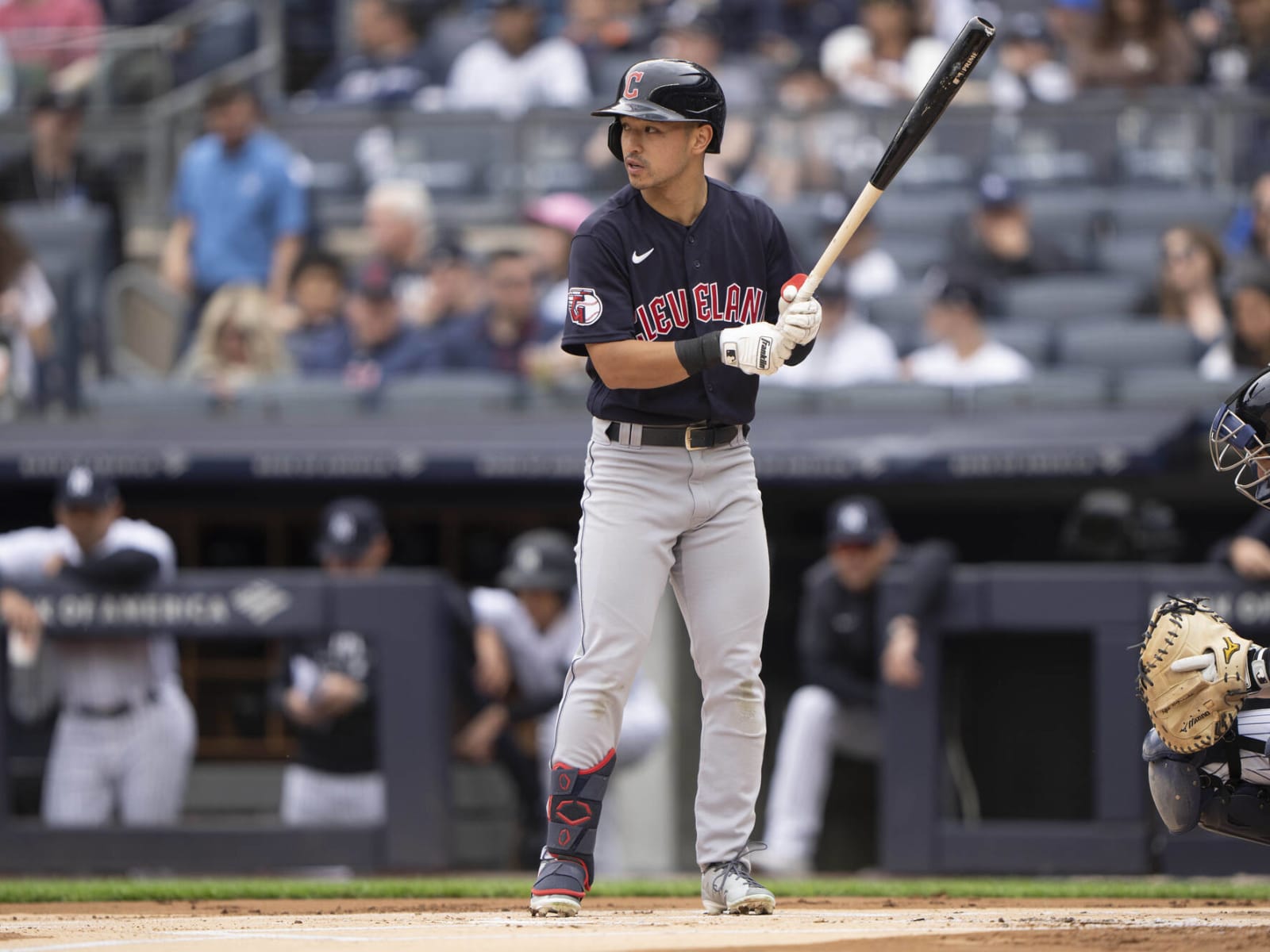 Steven Kwan - MLB Left field - News, Stats, Bio and more - The Athletic