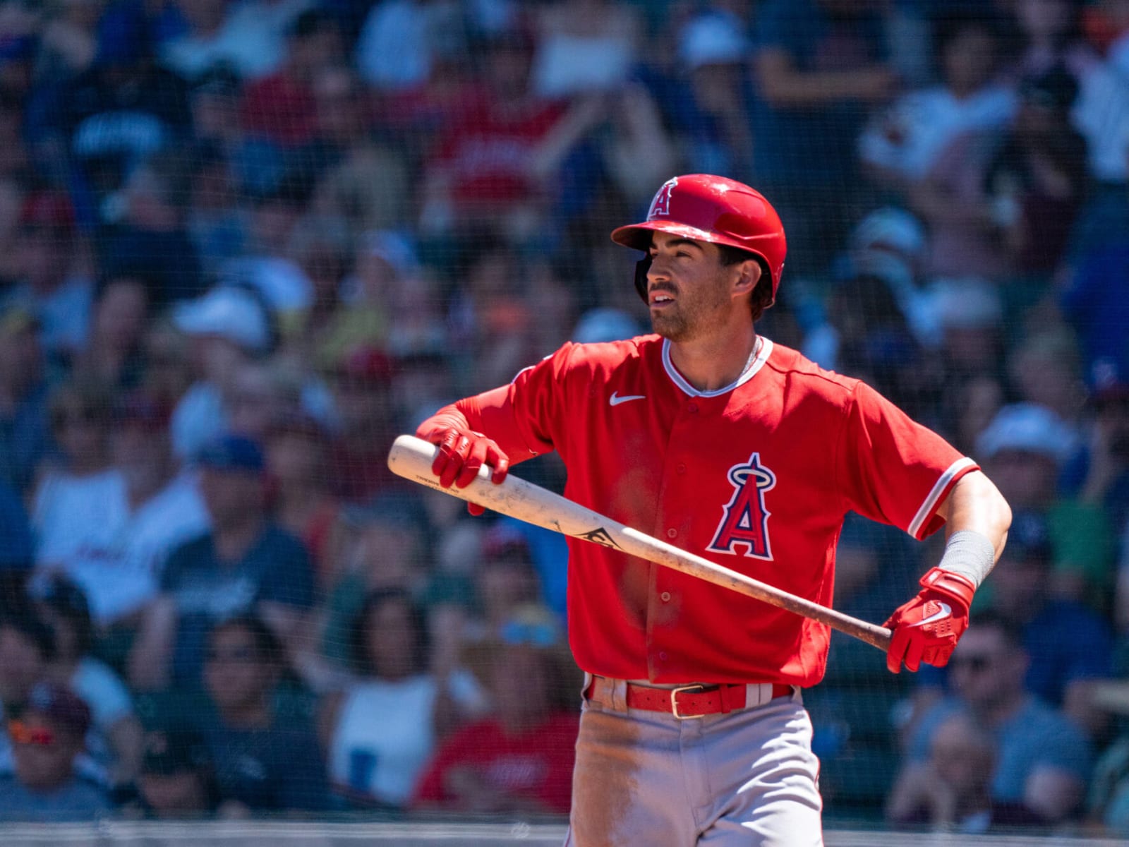 Angels Select Contract of Former BayBear Taylor Ward - OurSports