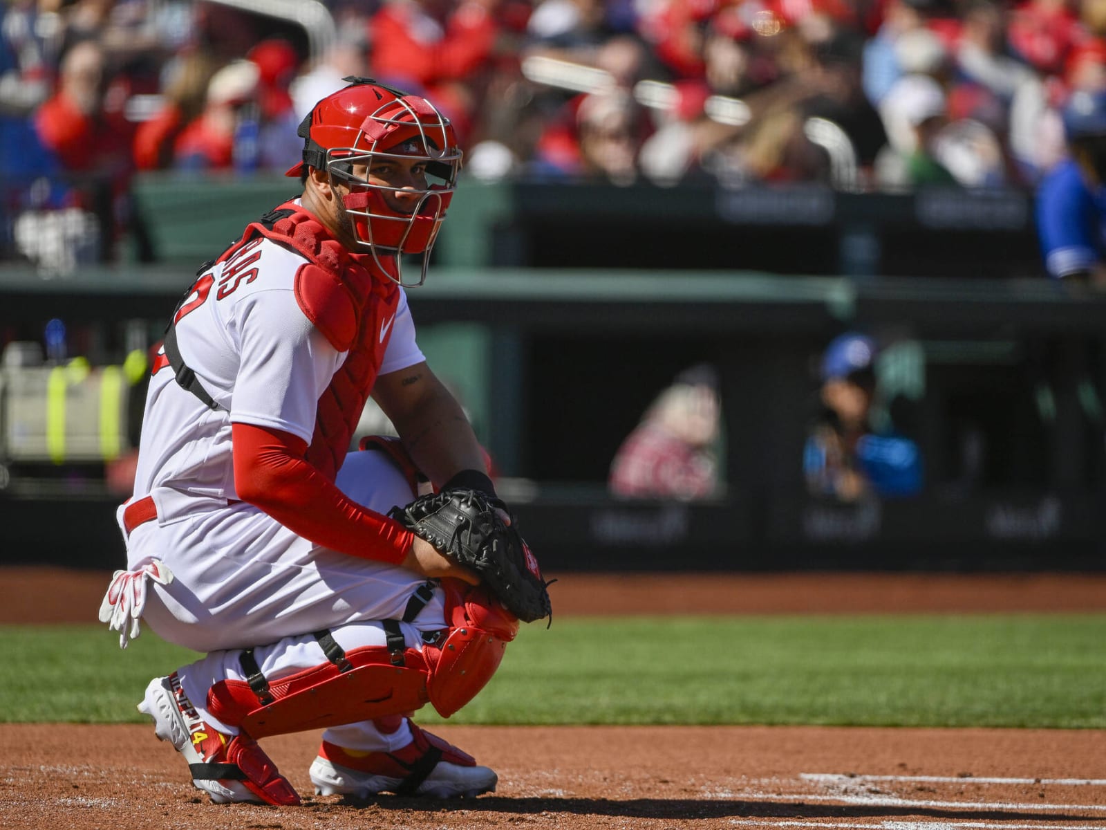 Update on the knee injury to St. Louis Cardinals catcher Willson