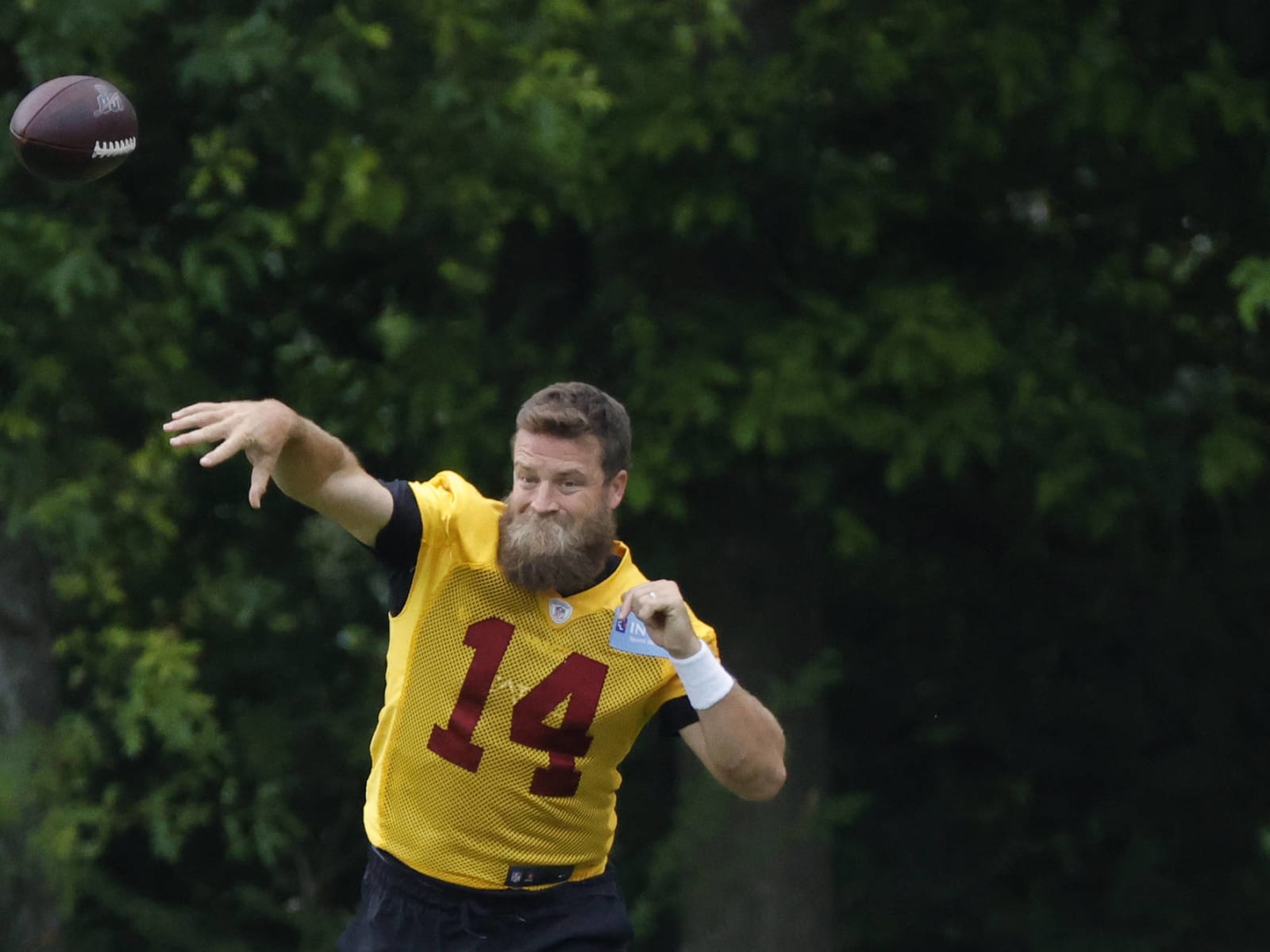 VIDEO: Ryan Fitzpatrick Shows Off Cicada Stuck in His Bushy Beard