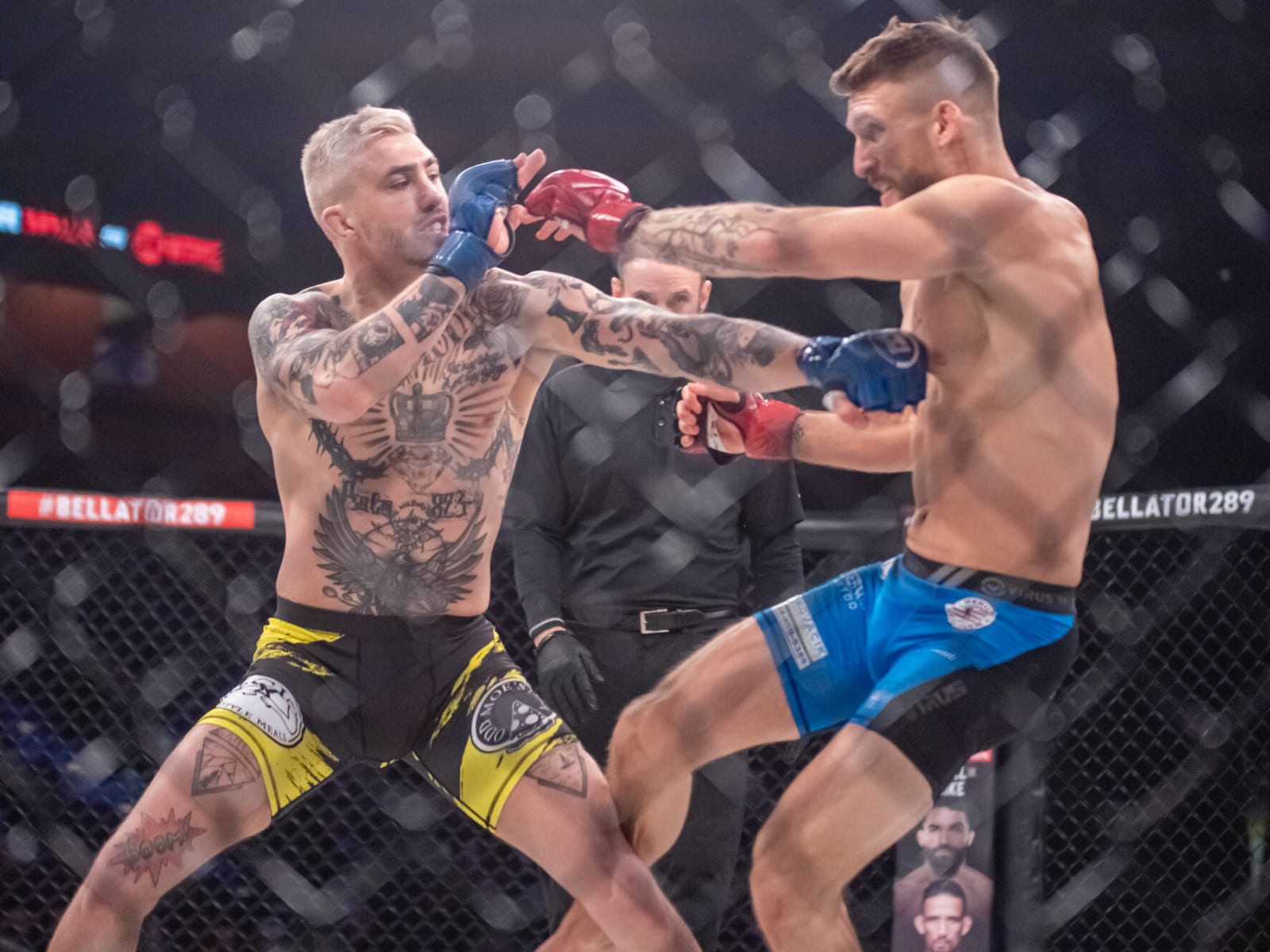 MMA fighter Cris Lencioni in ICU after serious medical episode Yardbarker