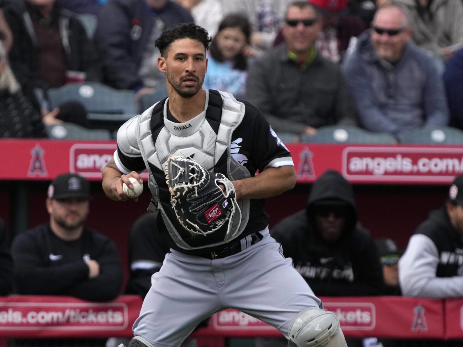 Quero's time next year: White Sox part ways with catcher Zavala before 12-1  loss to Royals