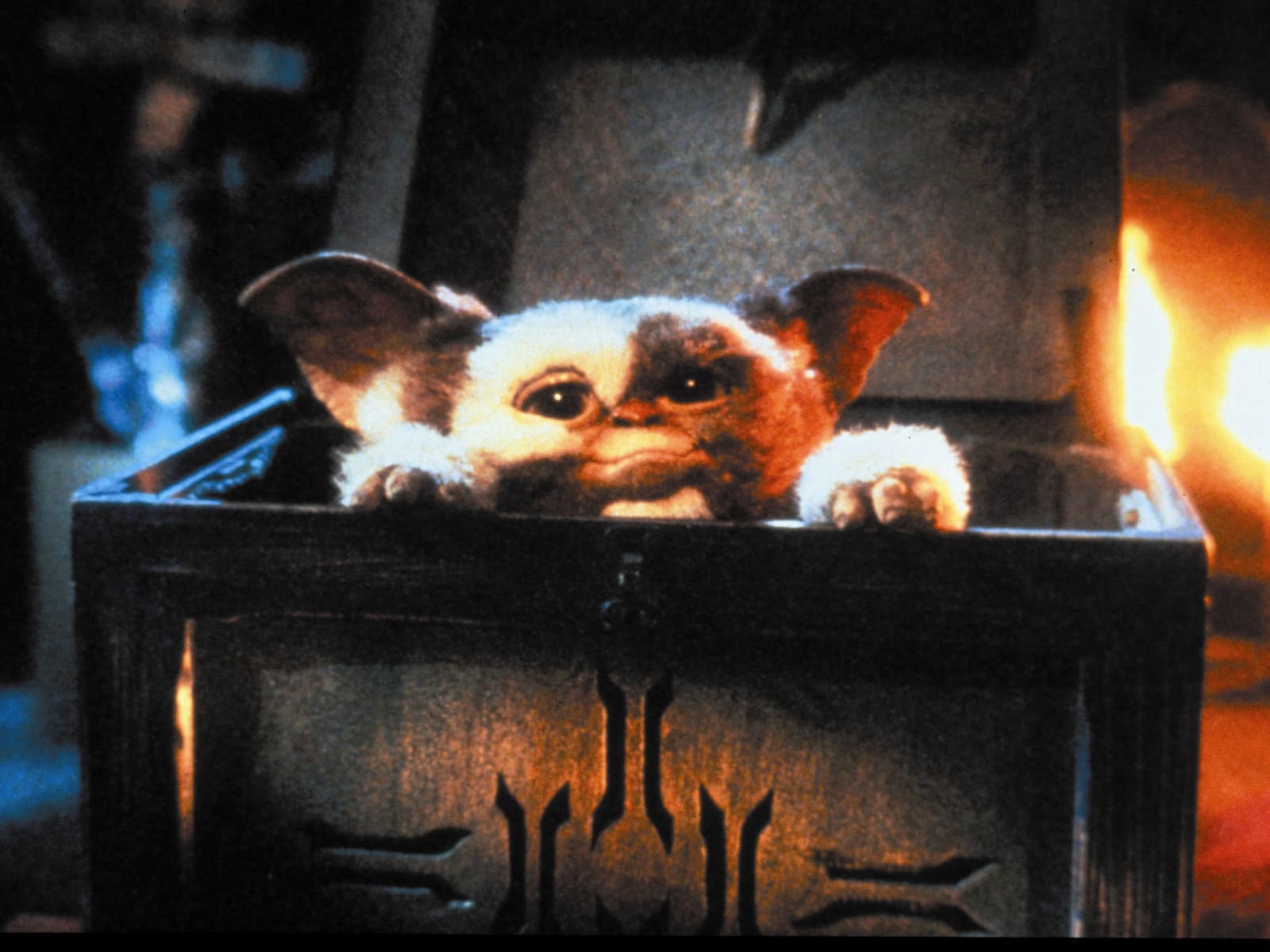 Gremlins released 39 years ago today. (June 8th, 1984) : r/Gremlins