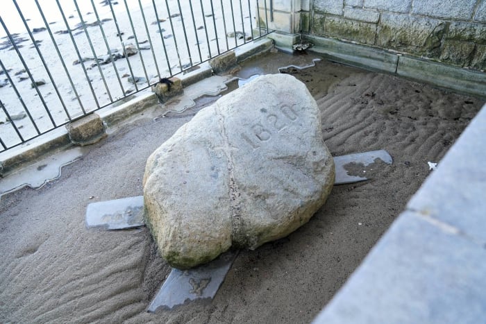 Plymouth Rock