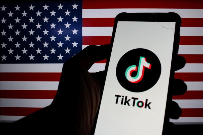 The TikTok ban