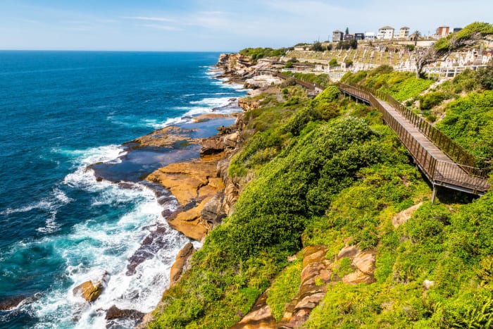 Bondi to Coogee Walk