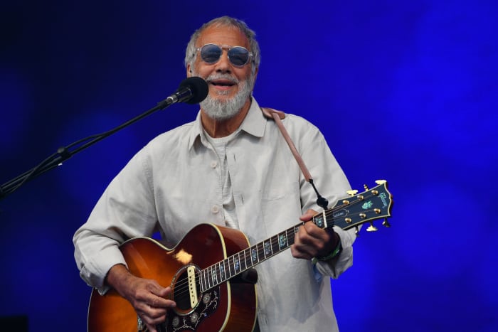 Cat Stevens