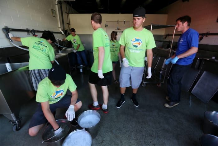 “Blackfish” (2013)