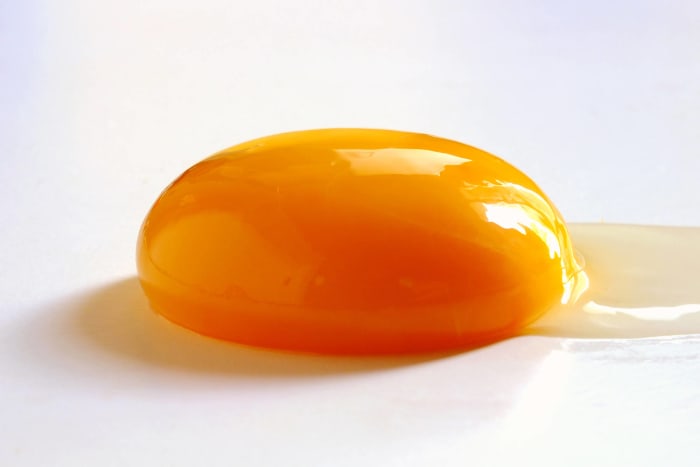 Get the yolk out of here